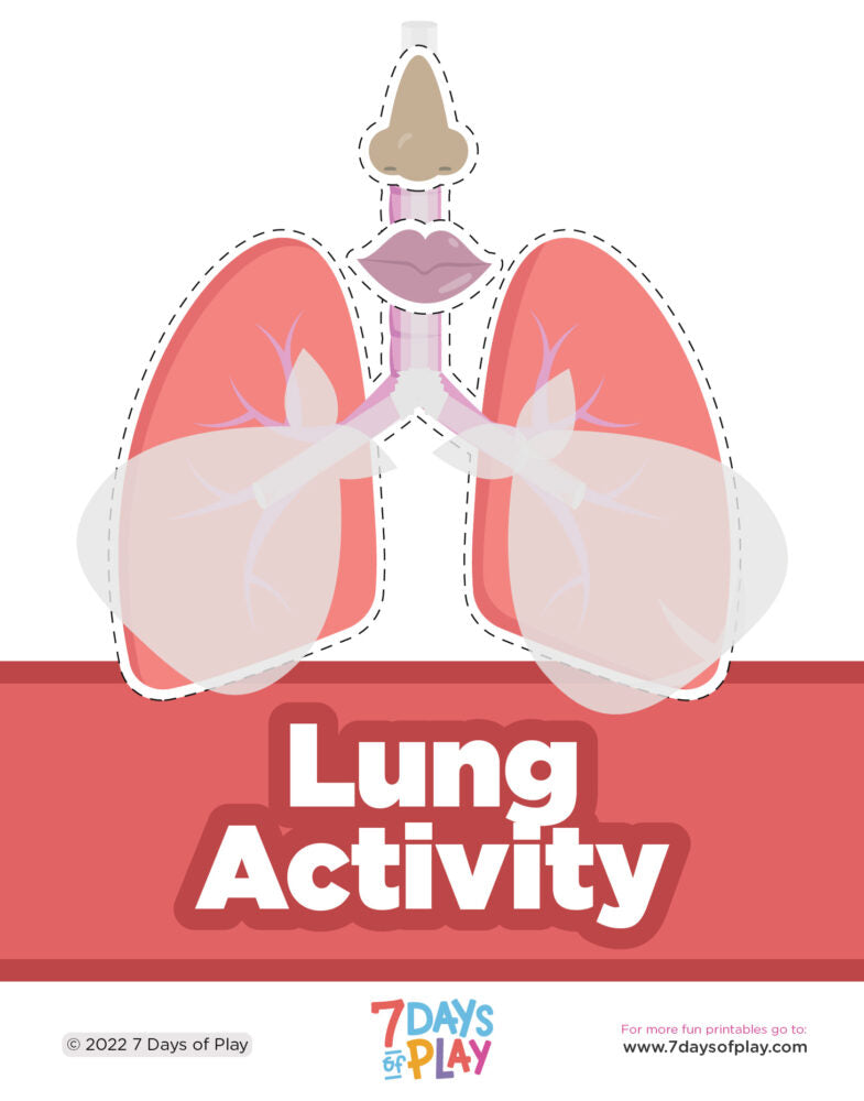 Lung Anatomy Printable For Kids 7 Days Of Play lung-anatomy-printable-for-kids-7-days-of-play