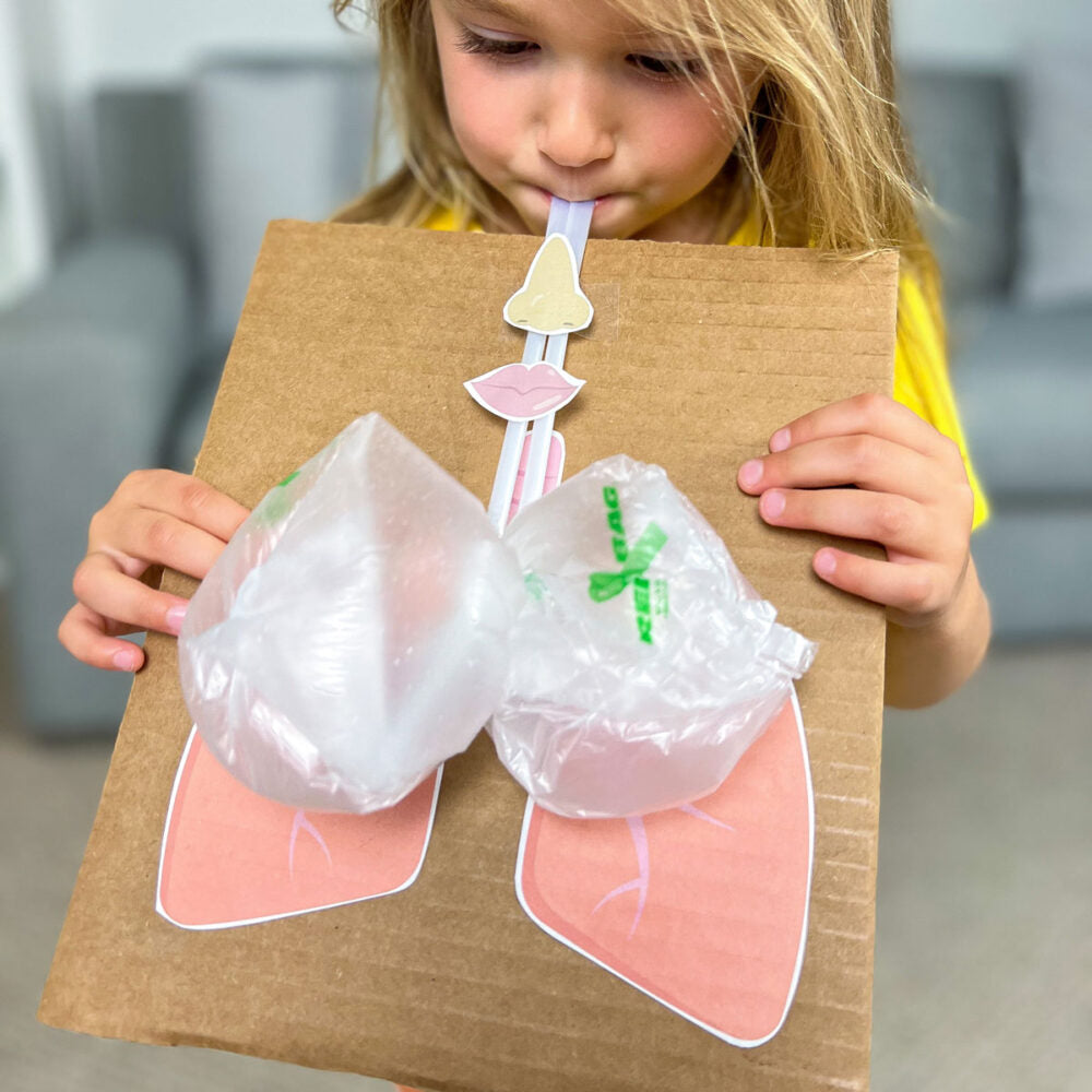 Activity for Respiratory System