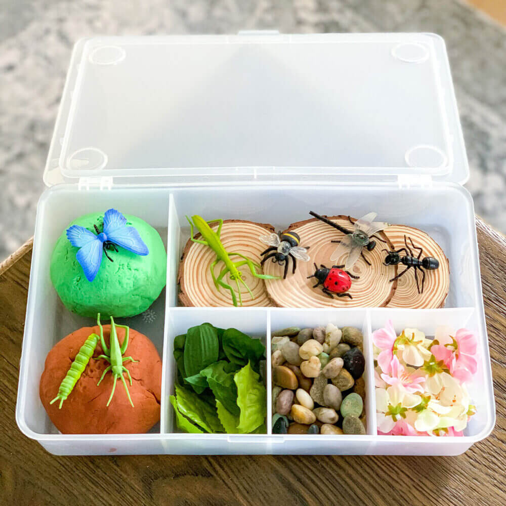 Preschool Insect Activity - Fun Sensory Kit They'll Love