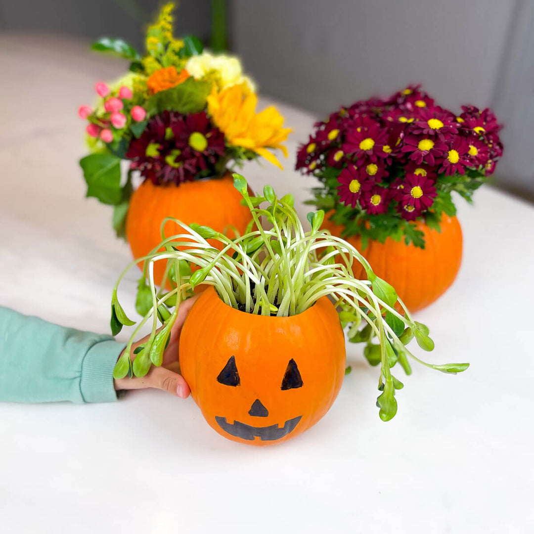 Pumpkin Activities - Being Creative with a Real Pumpkin