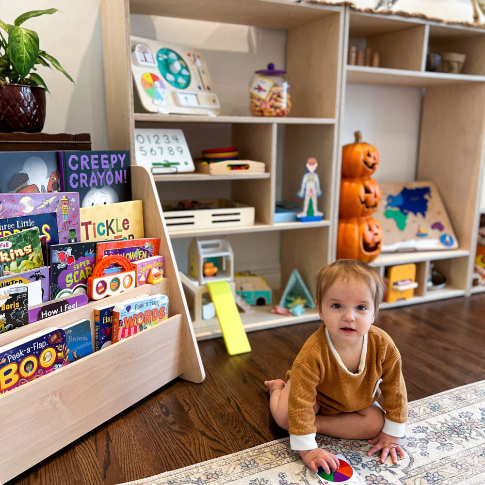 Rotating Toys in Our Playroom - Month 2