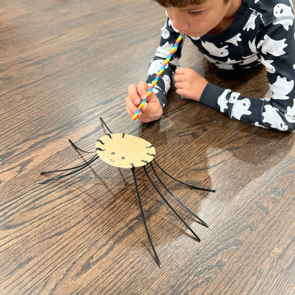 How to Make a Simple Spider Craft with Zip Ties and Cardboard