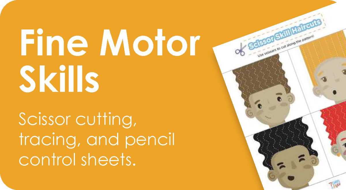 Fine Motor Skills