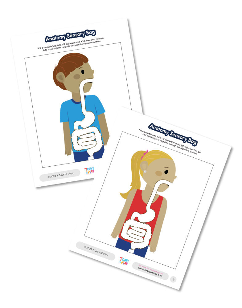 Anatomy Sensory Bag - Fun Printable