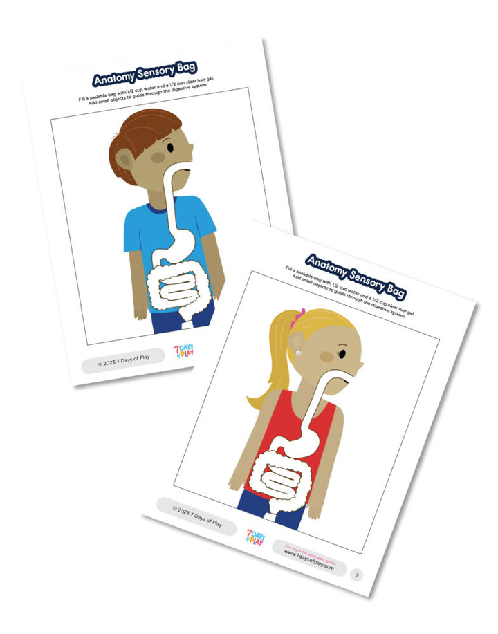 Anatomy Sensory Bag - Fun Printable