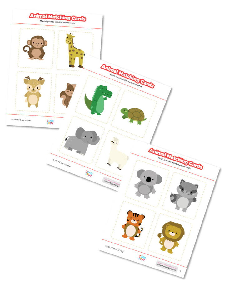 animal matching cards montessori