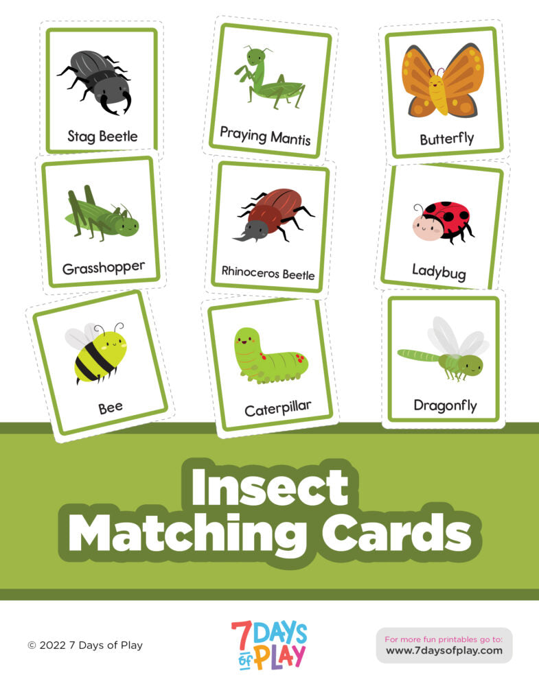 These Montessori-inspired matching cards include 16 insect pictures. Cut them out and use your own figurines to match and name! It's a great way to develop speech and vocabulary.