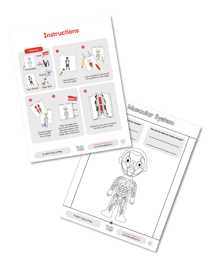 Inside My Body - Printable for kids