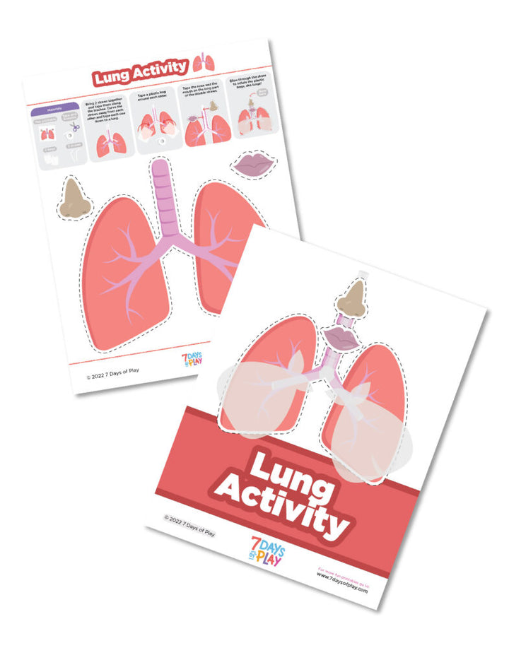 This free printable activity is a fun way to learn all about how the lungs work!
