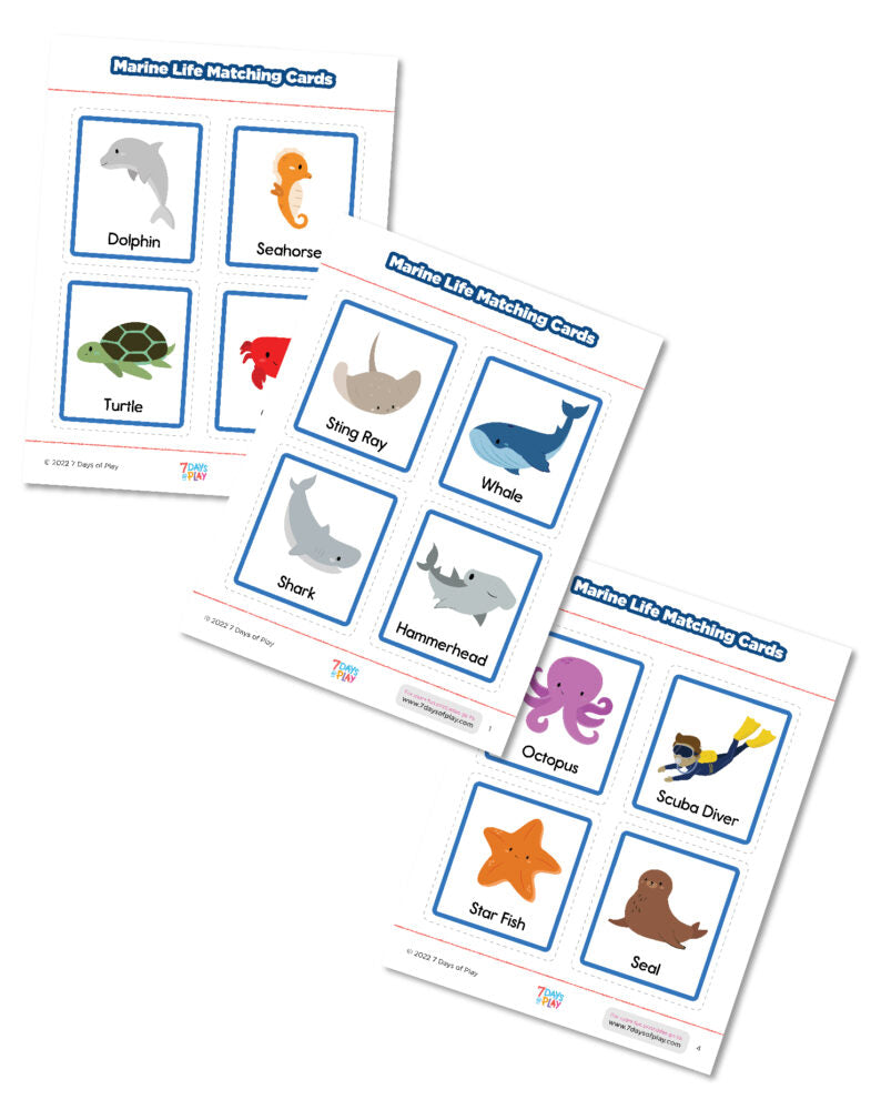 Free Marine Life Matching Cards