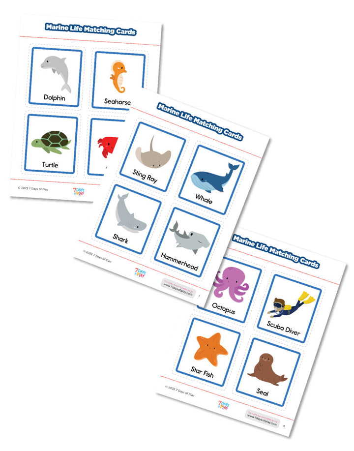 Free Marine Life Matching Cards