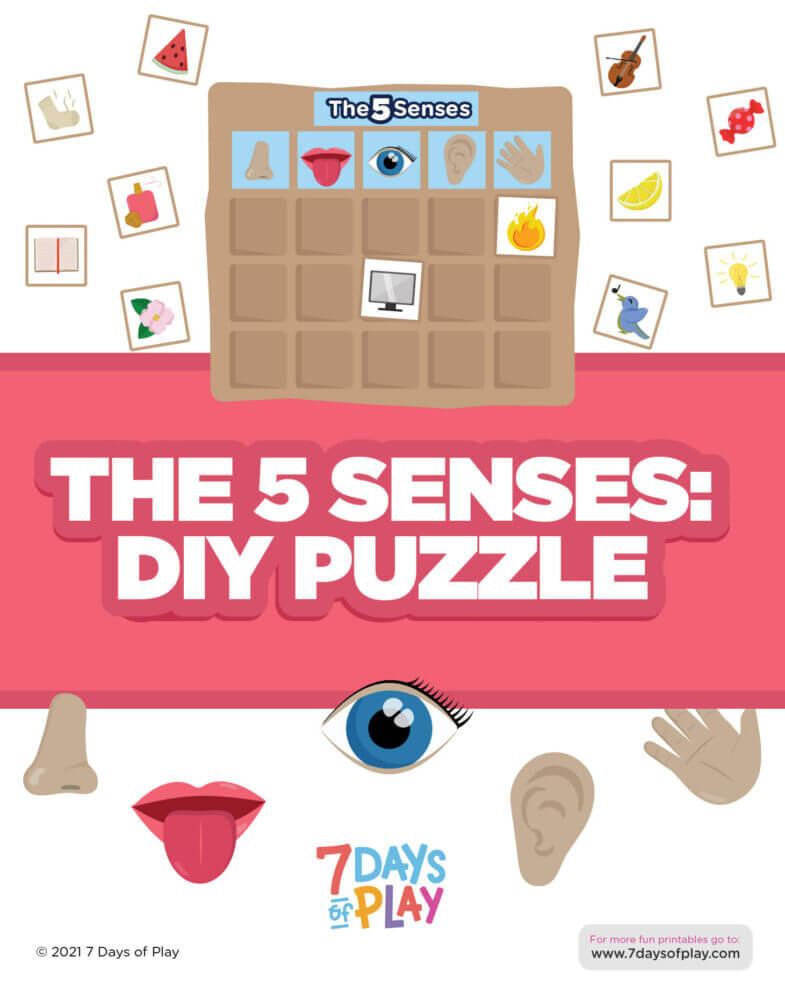 Learning the 5 senses for kids activity printable worksheet