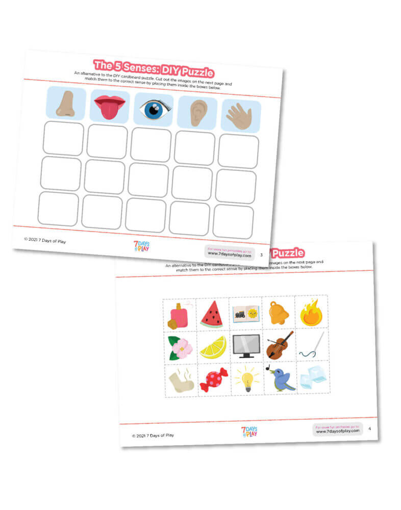 Learning the 5 senses for kids activity printable worksheet