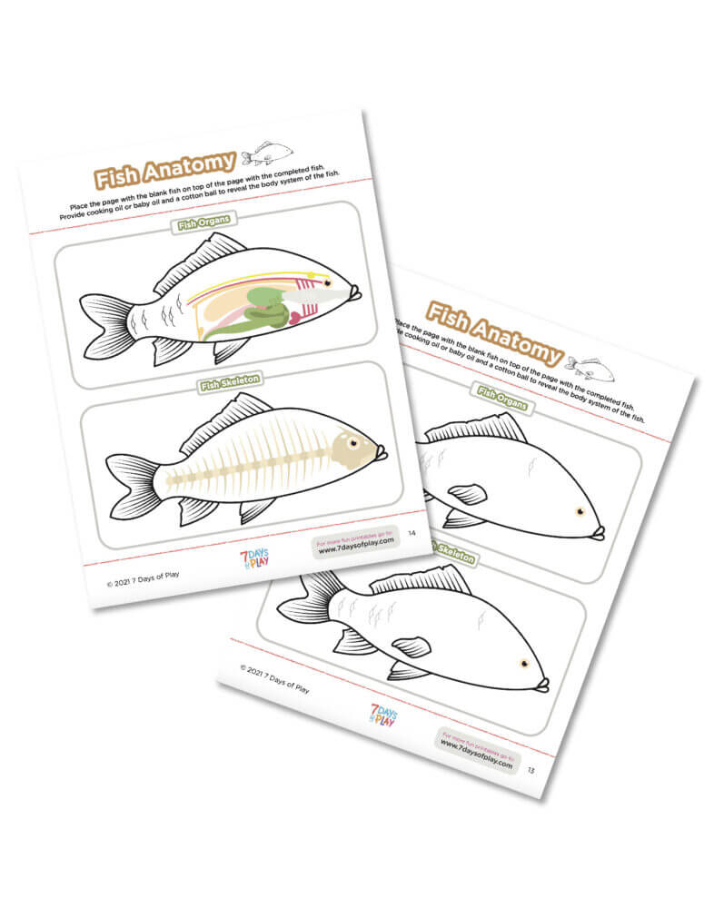 animal-themed printable worksheets