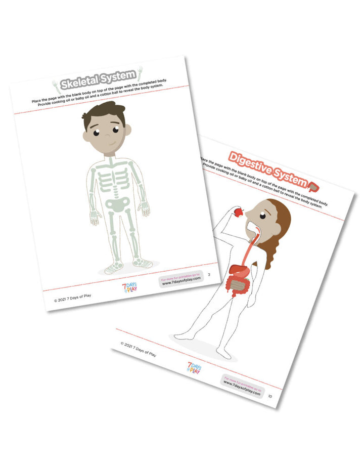 systems of the body for kids printable