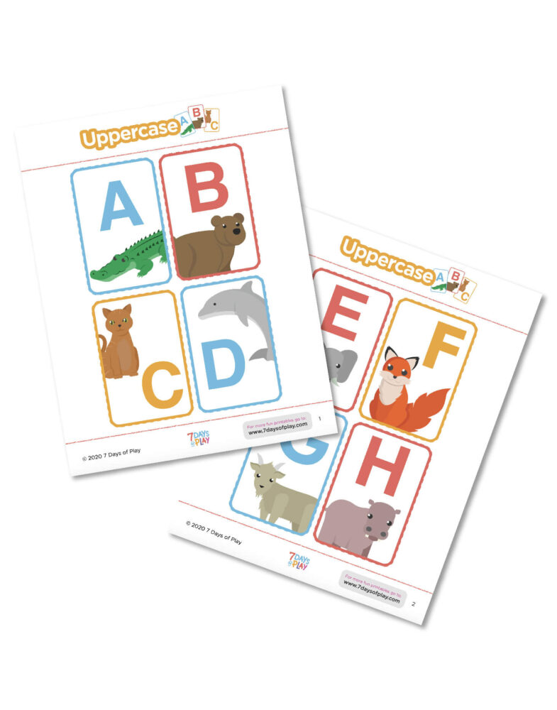 Alphabet Flashcards - Uppercase and Lowercase