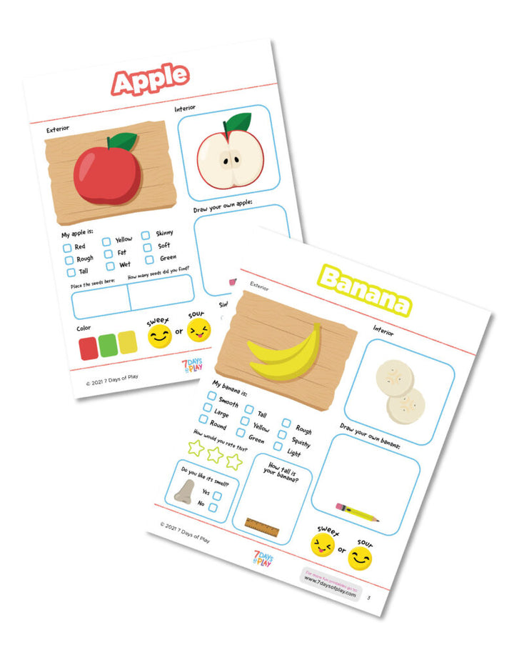 Exploring fruits and vegetables