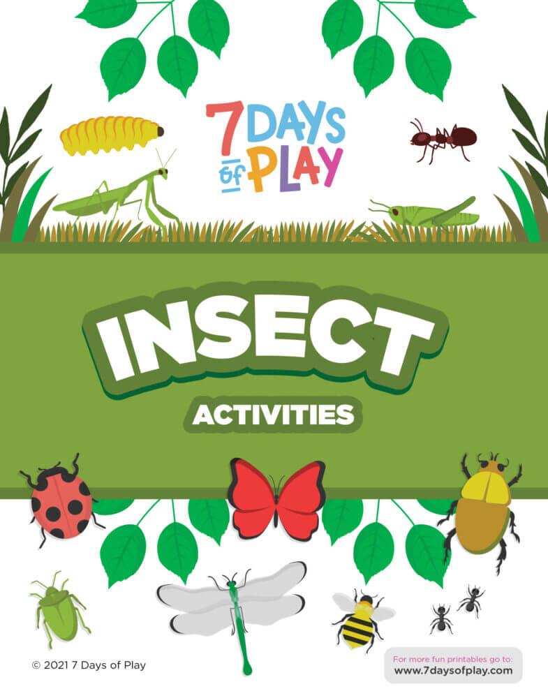 bug insect printable worksheets preschool
