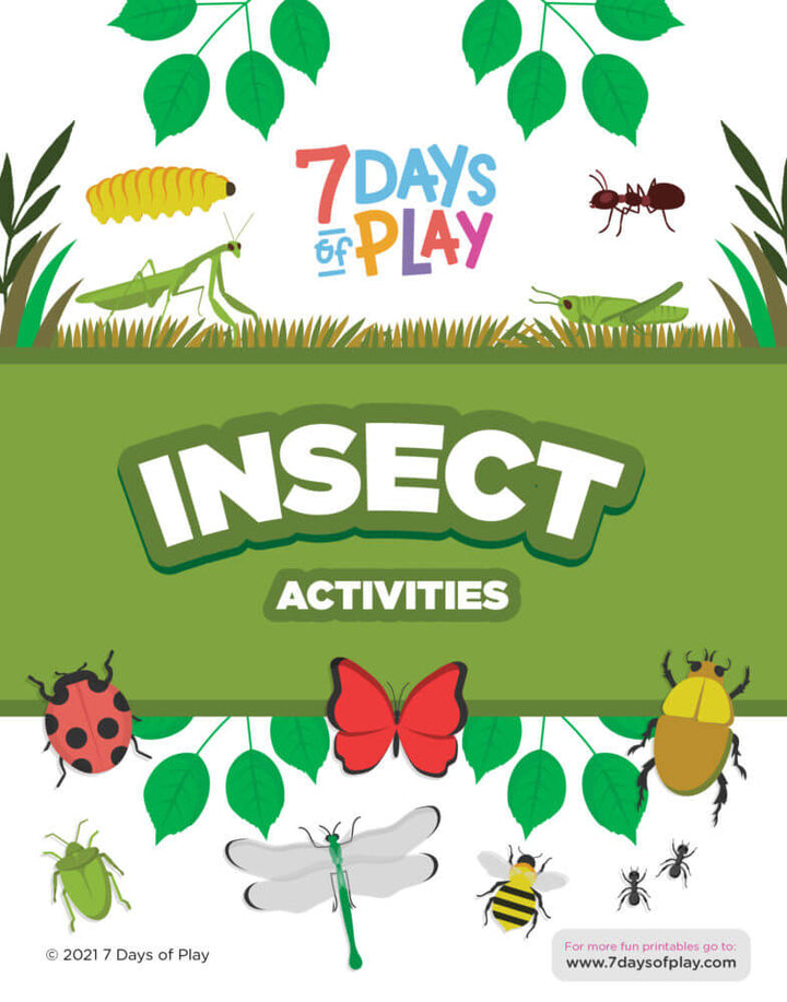bug insect printable worksheets preschool
