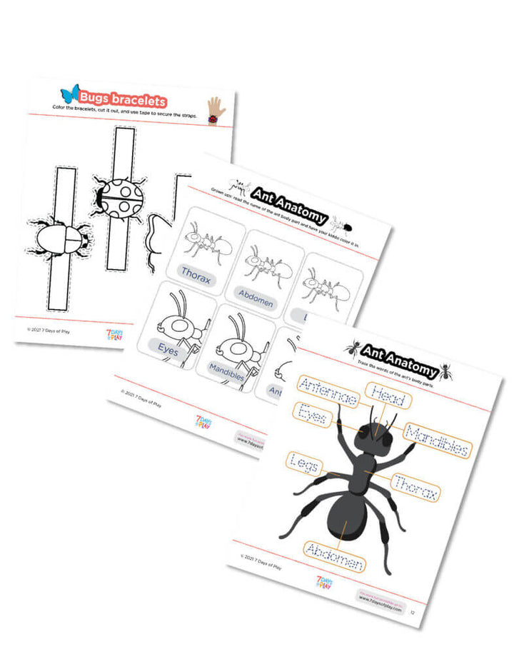 bug insect printable worksheets preschool