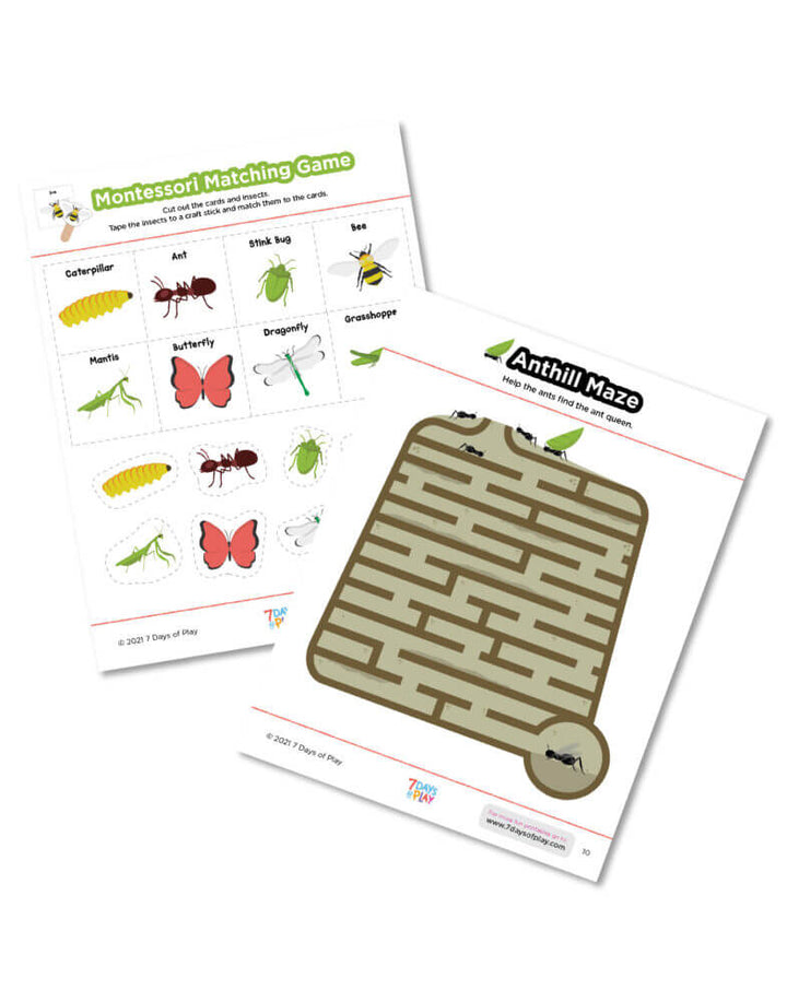 bug insect printable worksheets preschool
