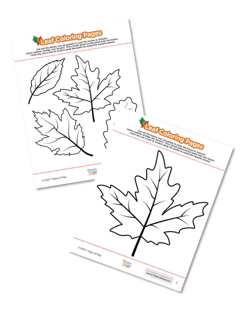 Fall Leaf Craft Template - Fun Printable
