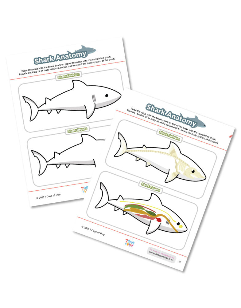 Ocean Animal Activities - Printable for Kids