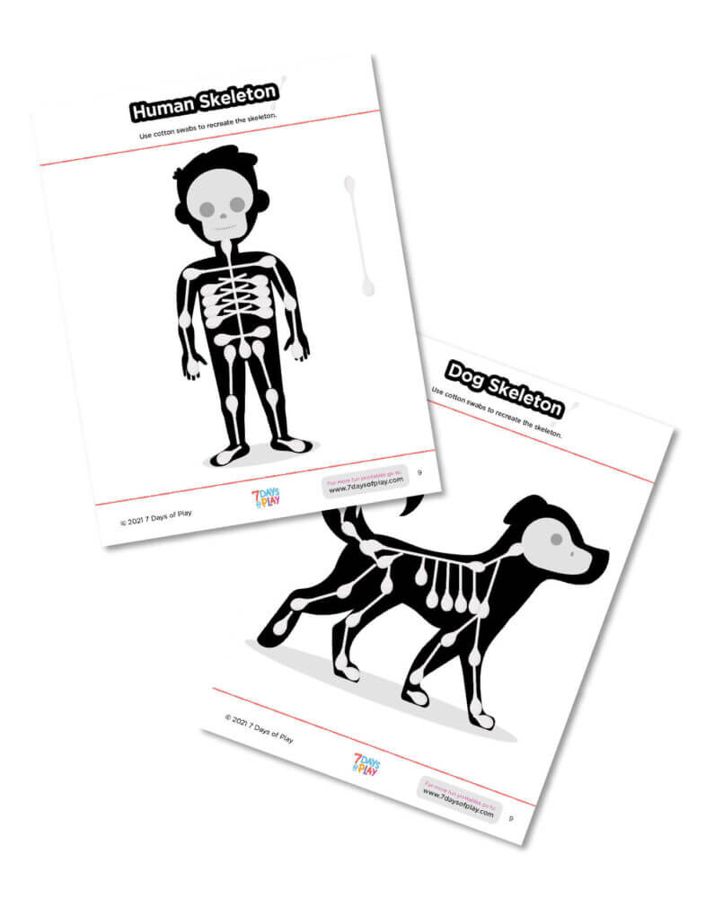 skeleton printable cotton swab activity for kids halloween anatomy