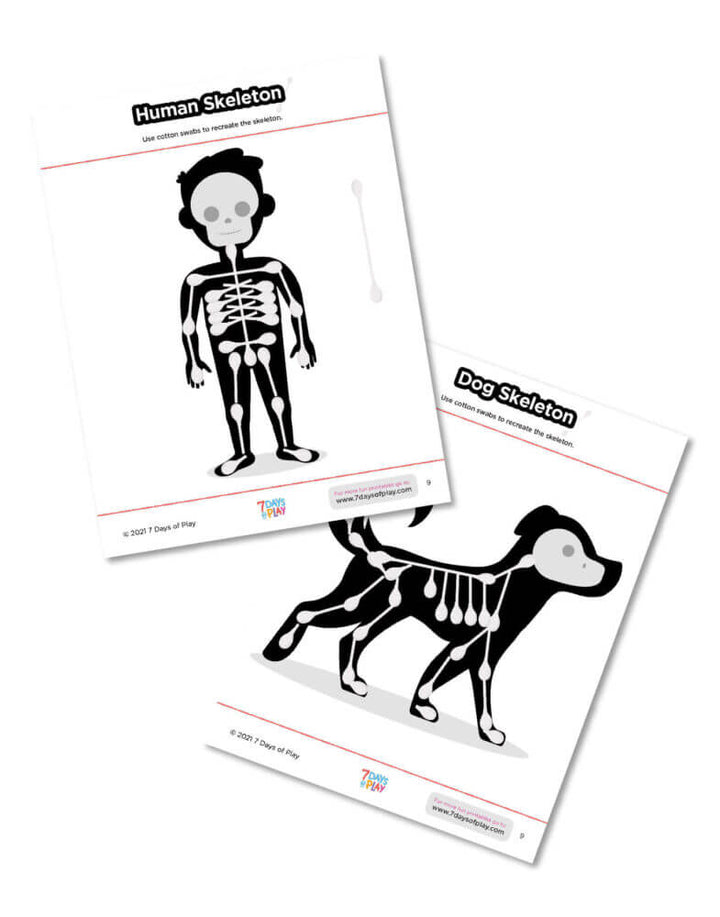 skeleton printable cotton swab activity for kids halloween anatomy