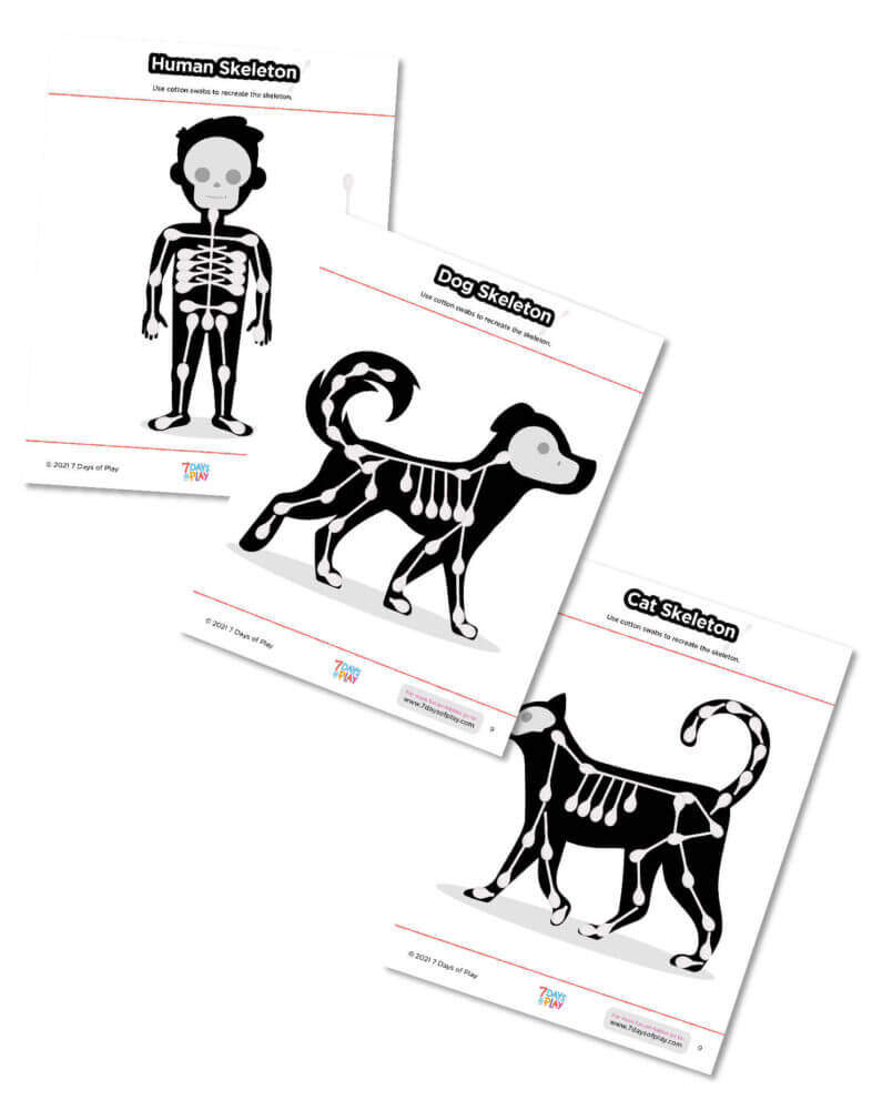 skeleton printable cotton swab activity for kids halloween anatomy