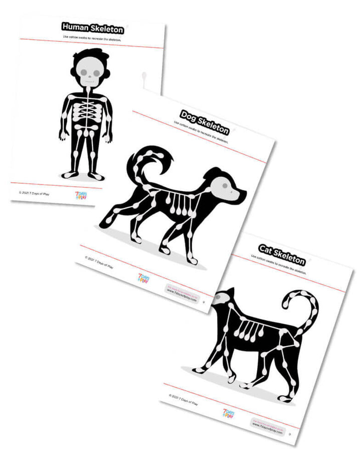 skeleton printable cotton swab activity for kids halloween anatomy