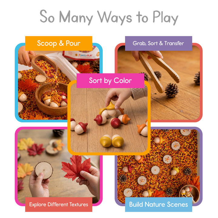 Five fall sensory bin activities: scoop and pour, grab and transfer with tongs, sort by color, explore textures, and build nature scenes