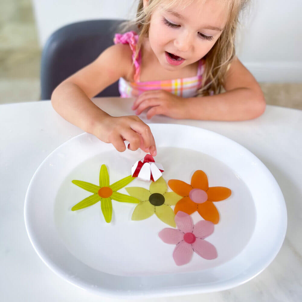 blooming paper flowers experiment