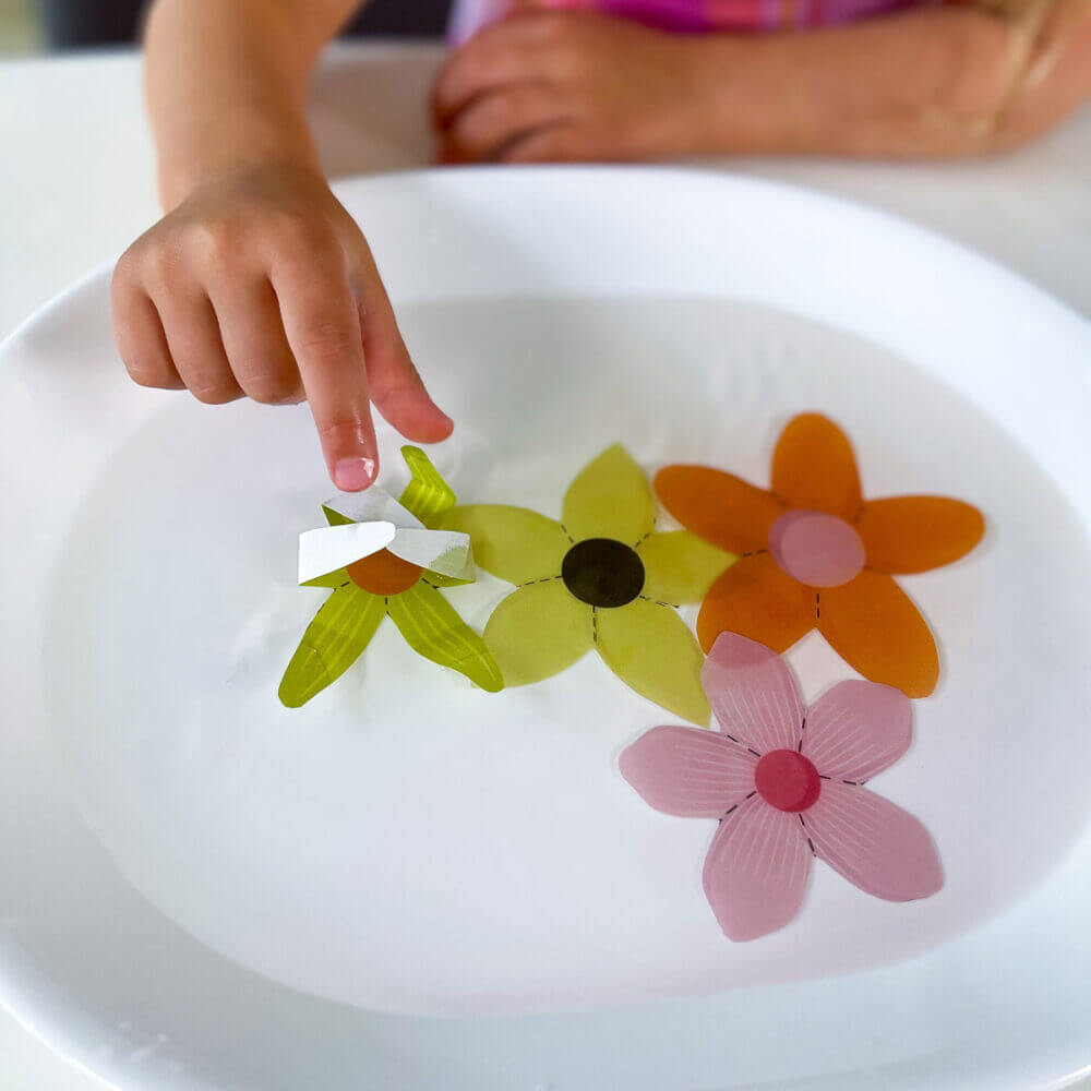 blooming paper flowers experiment