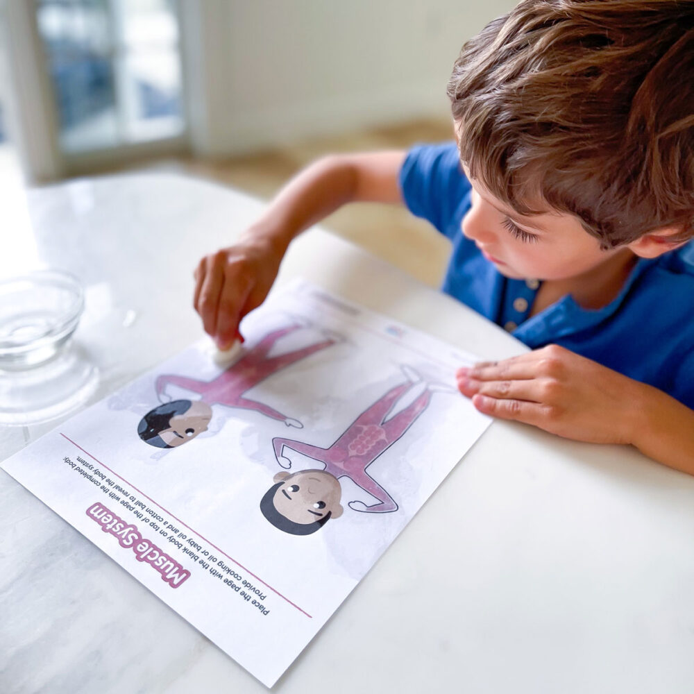 systems of the body for kids printable
