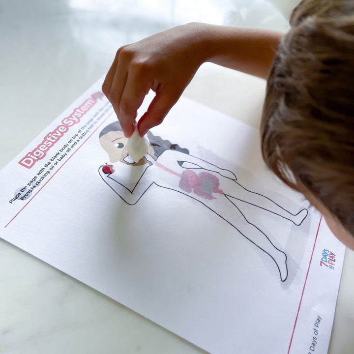 systems of the body for kids printable
