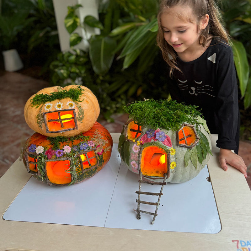 Fairy House Pumpkins 