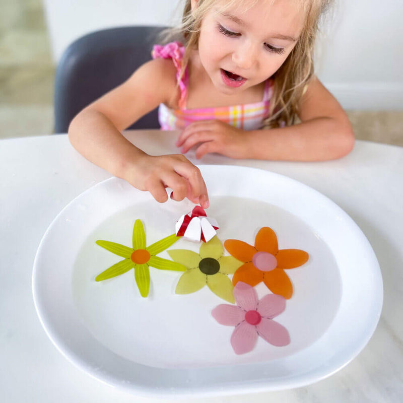 Motor Skills