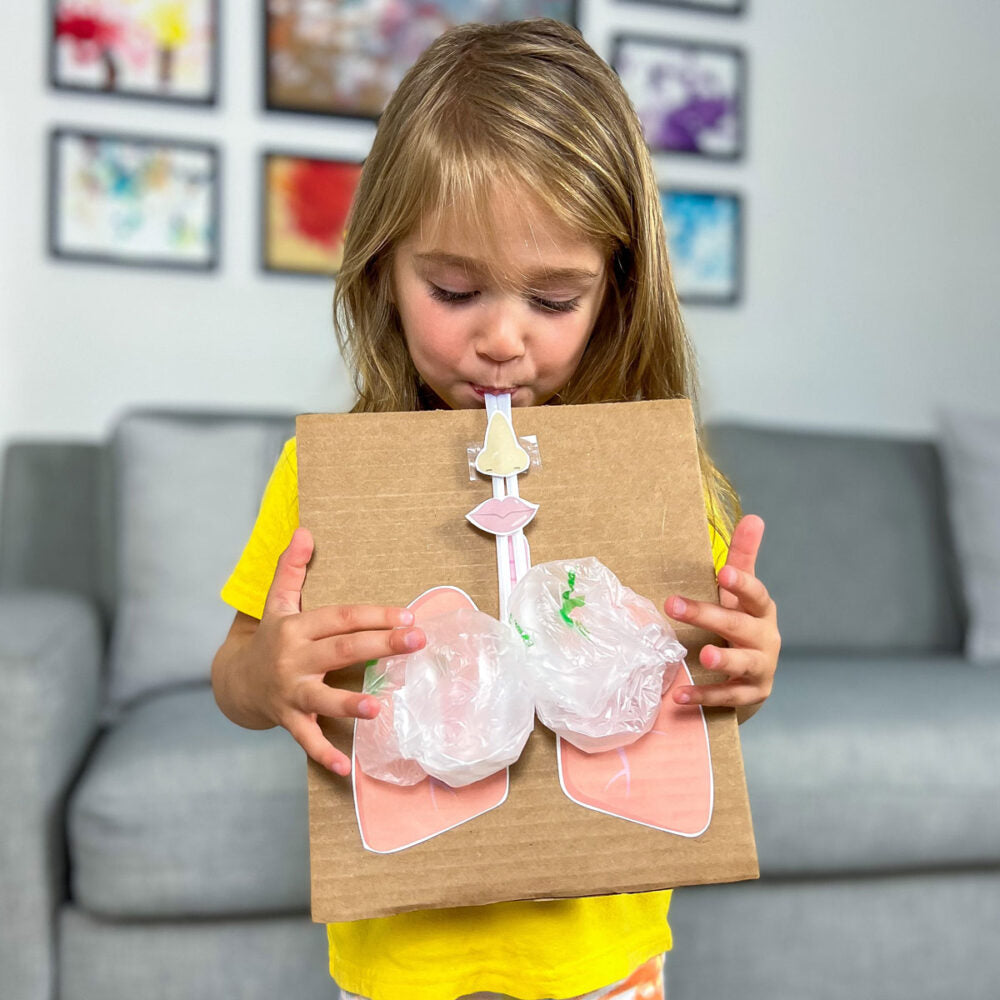 respiratory activity lung anatomy video human anatomy for kids This free printable activity is a fun way to learn all about how the lungs work!