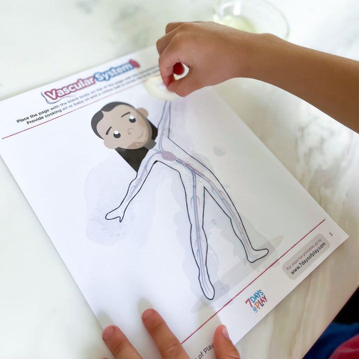 systems of the body for kids printable